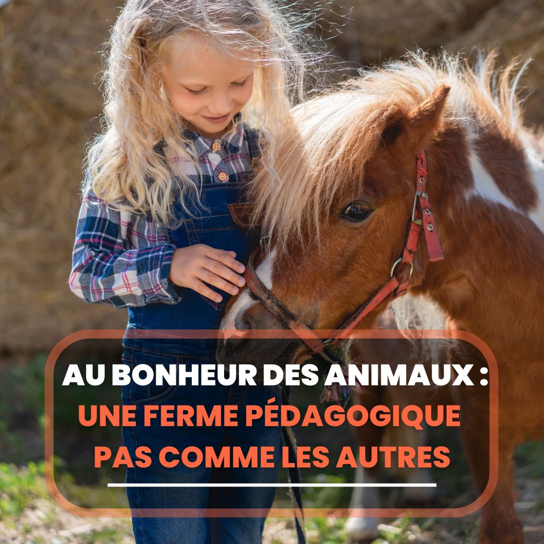 au bonheur des animaux