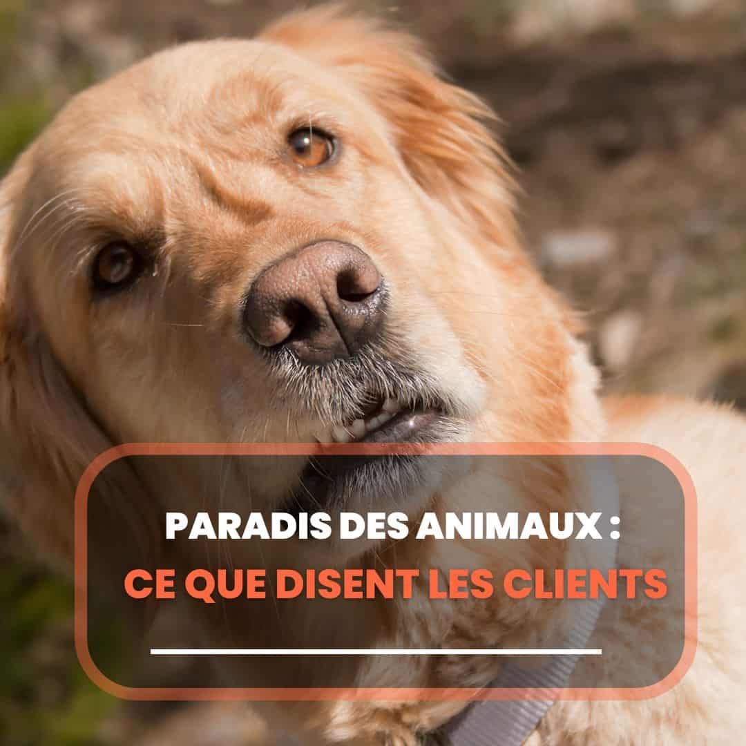 paradis des animaux