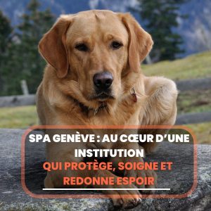 spa geneve