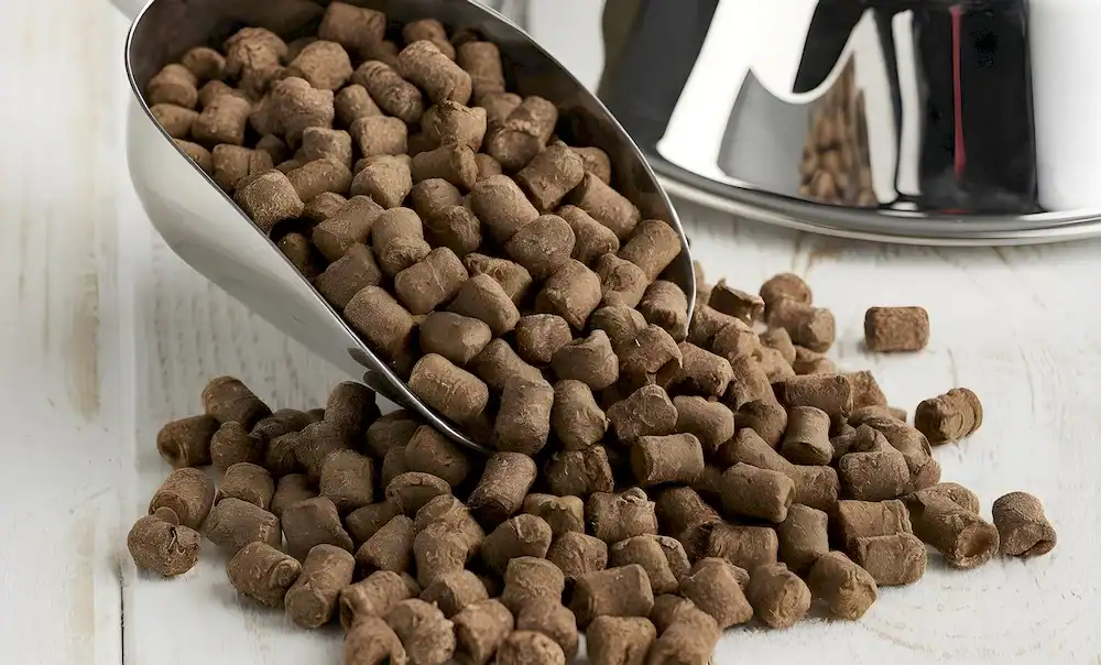 avis croquette ultima chien