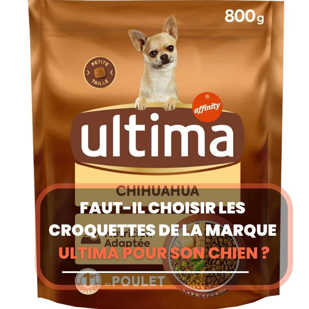 croquette ultima avis