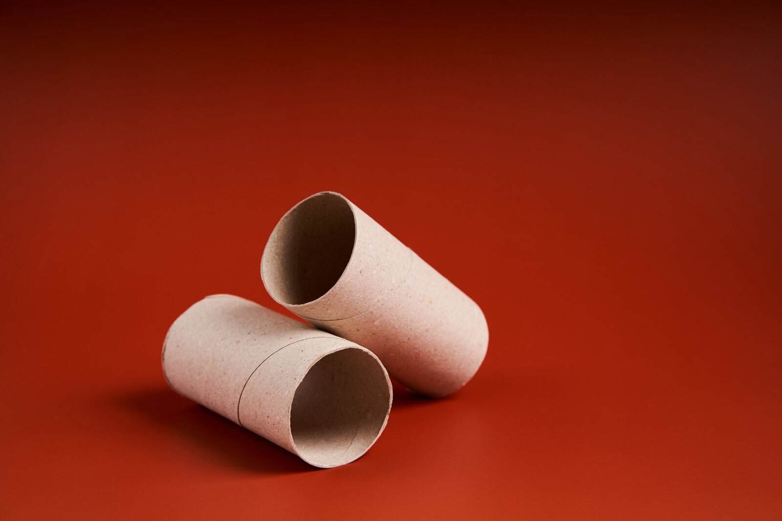 Empty roll of paper