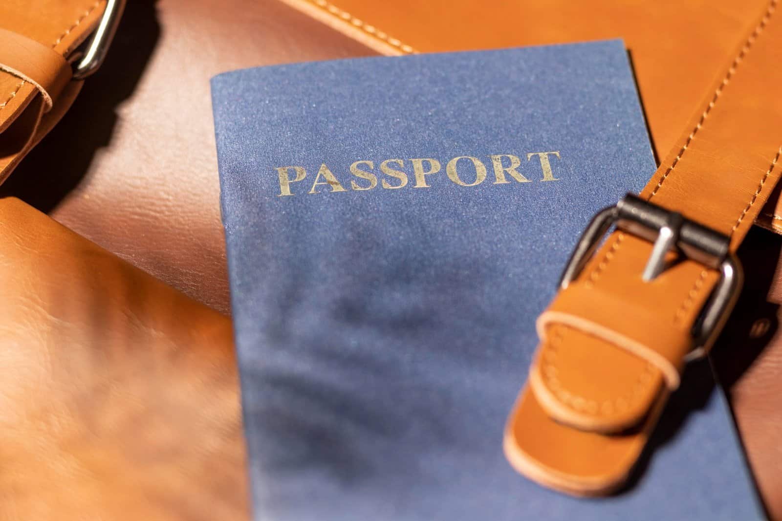 Passport and travel. Agent IDs