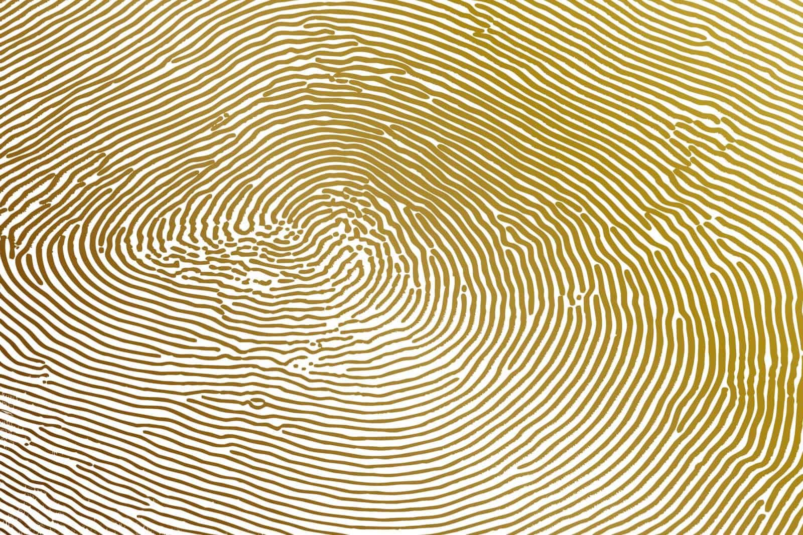 Fingerprint identity for agents