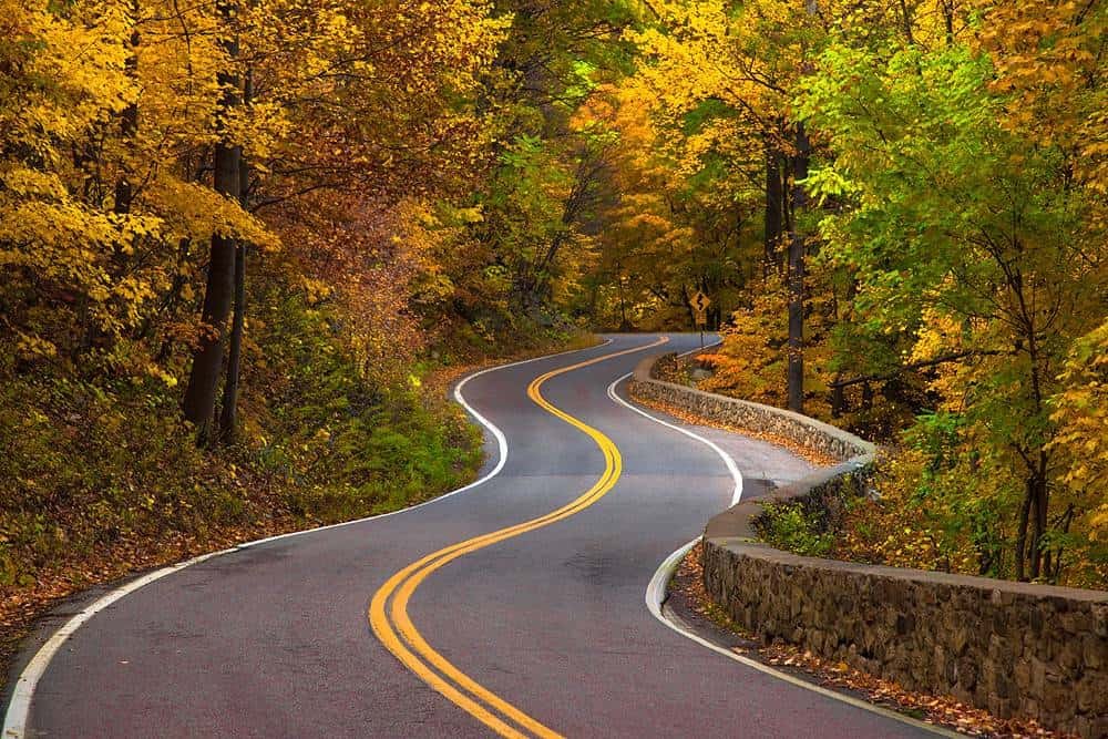 Winding forest road during autumn with colorful fall foliage and yellow centerlines, scenic nature drive, leaf-covered roadside, peaceful autumn landscape for travel or outdoor photography.