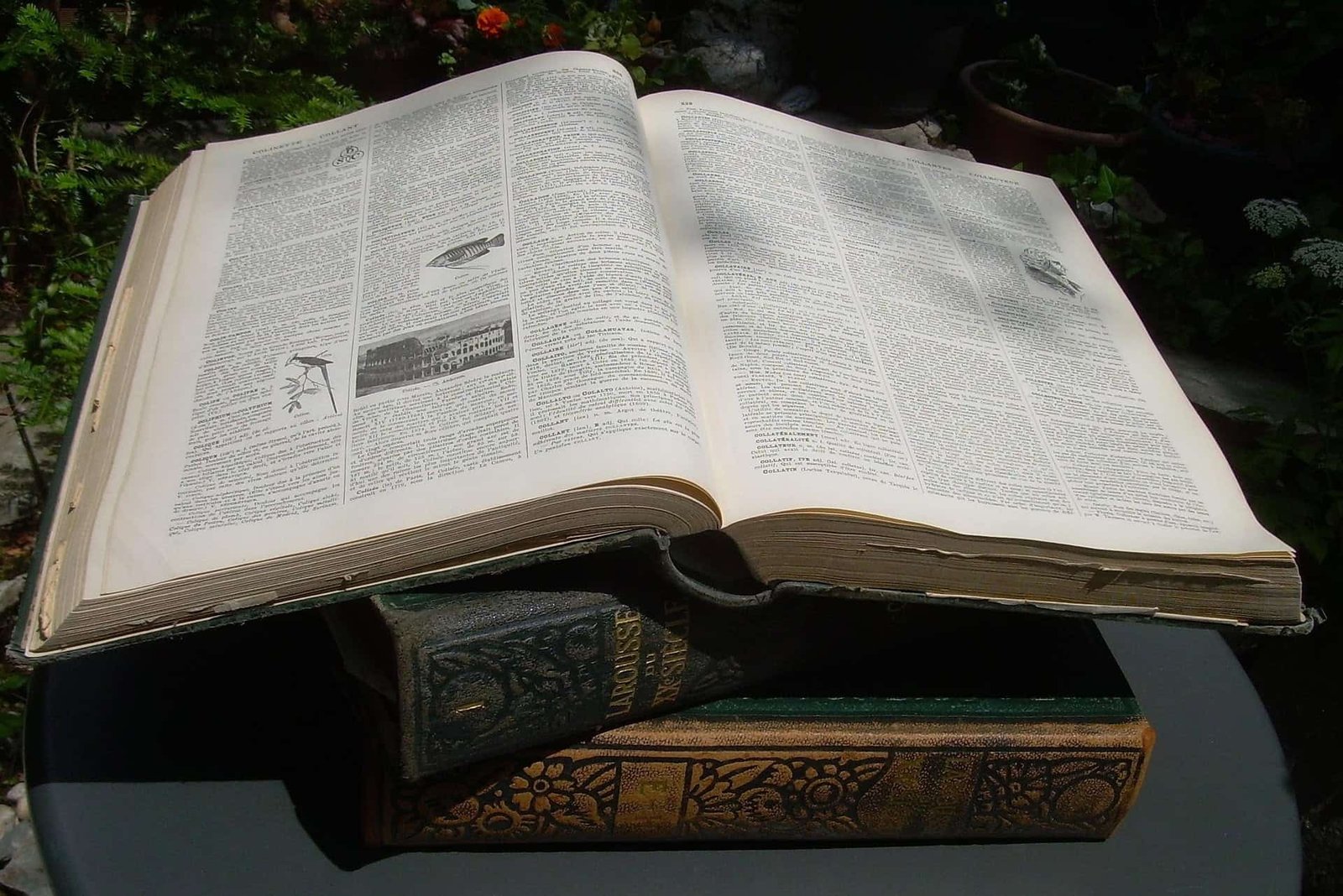 Open reference book with detailed text and illustrations placed outdoors on a table surrounded by greenery.