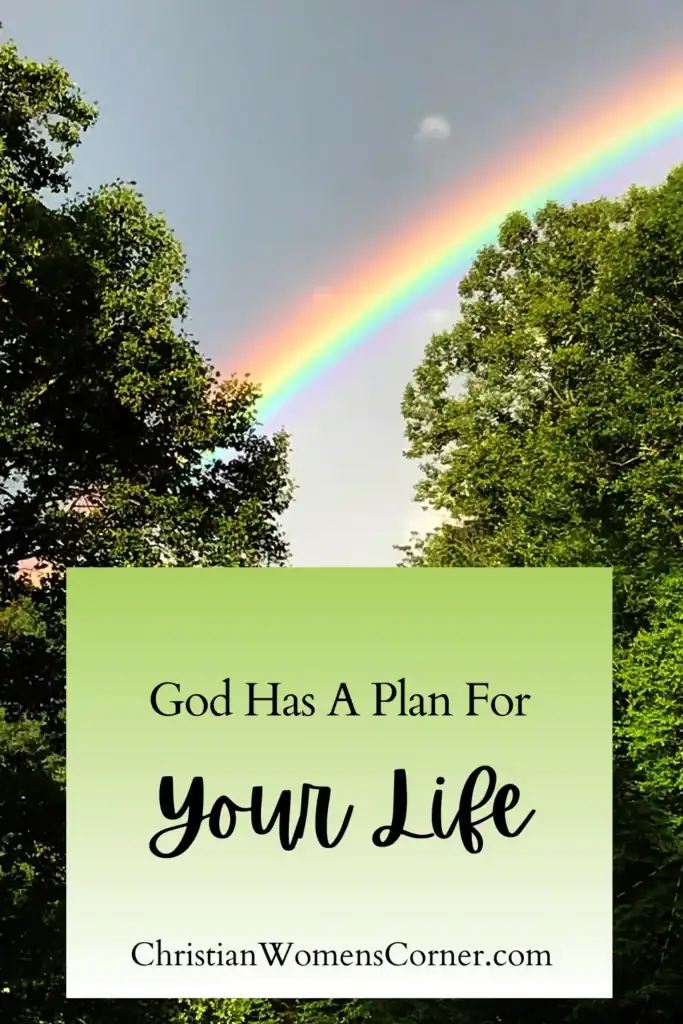 A rainbow in the sky behind some trees