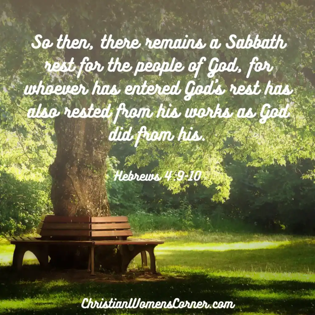 A park bench in a park by a tree A park bench in a park by a tree