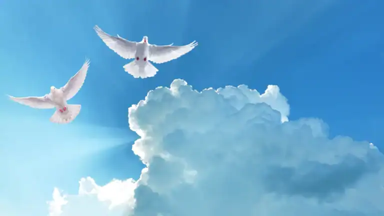 Two doves flying in the air with blue skies and clouds behind them symbolizing the role of the holy spirit