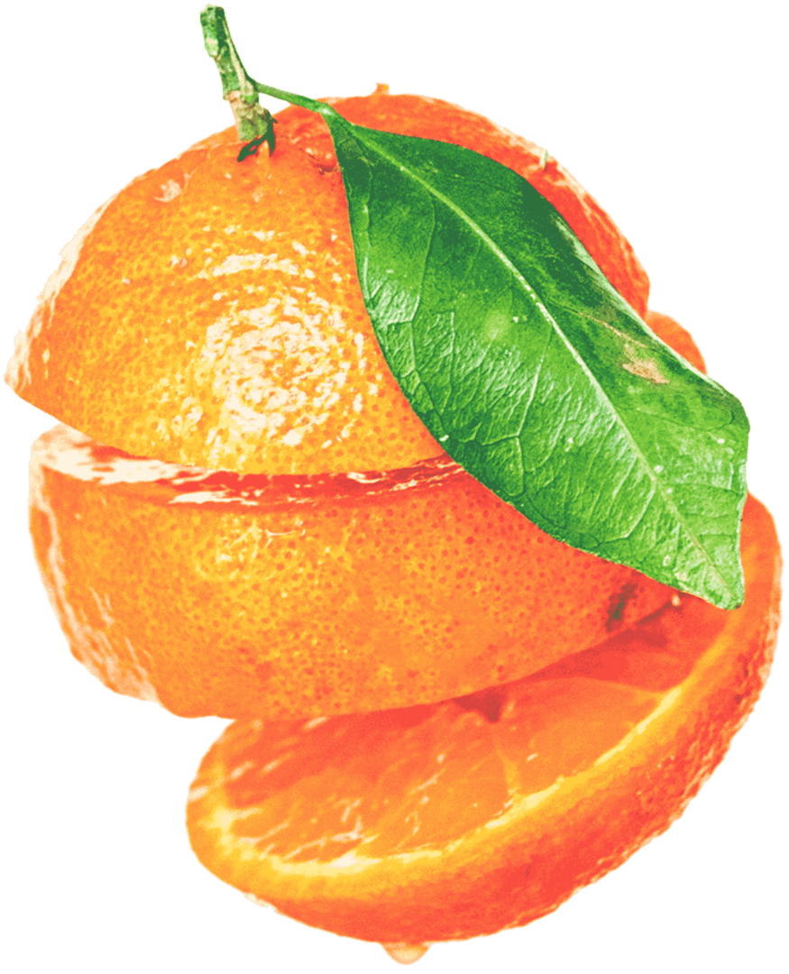 dietitian-32 nutritionist