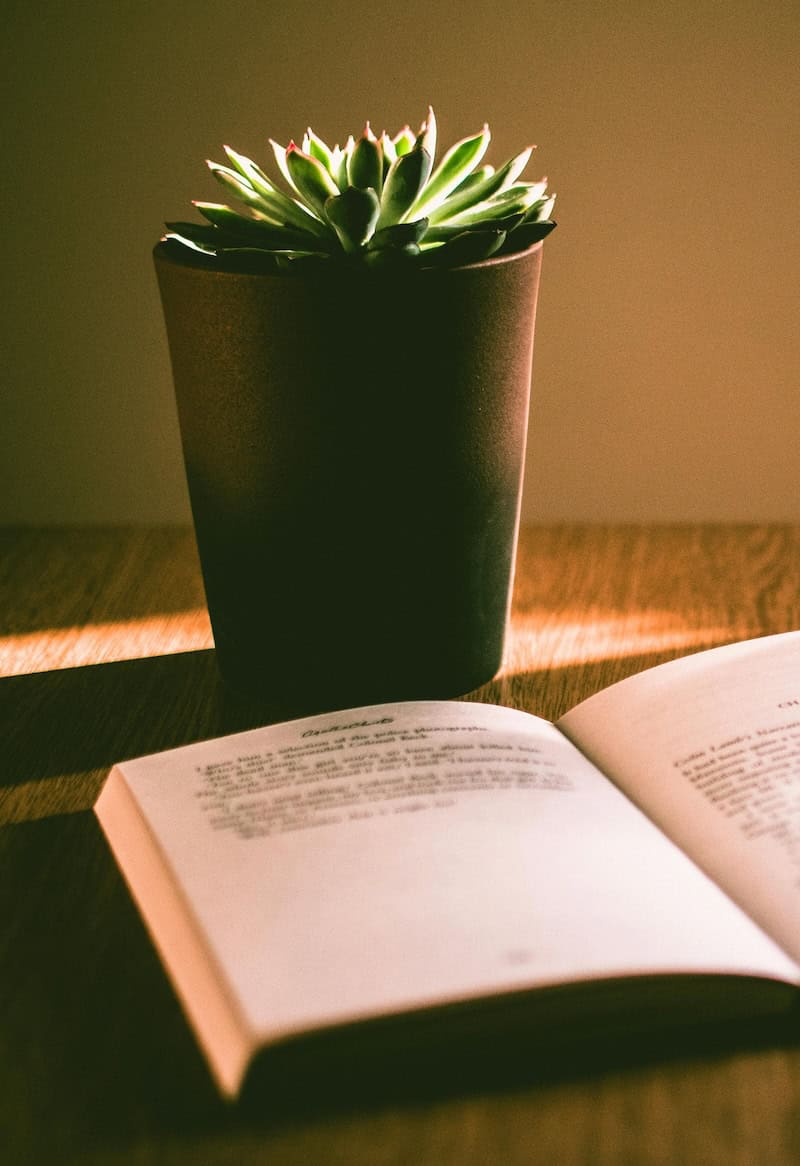 5 Truths That Helped Me Find Inner Healing