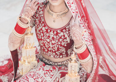cinecrown-indian-wedding-photographer-bride-portrait-arden-hill