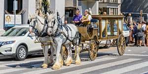 menu-cinecrown-funeral-photography