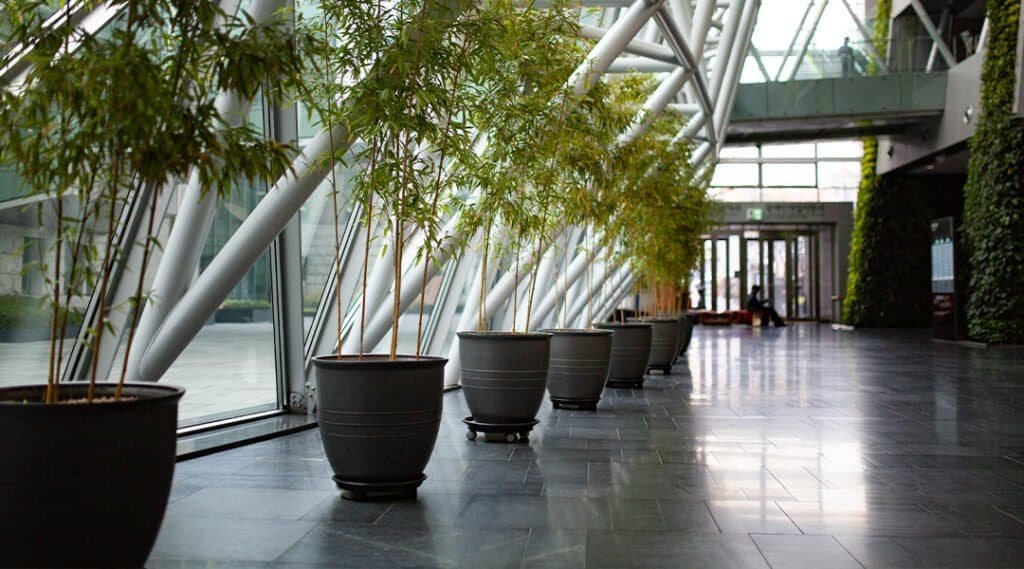 Modern office lobby with large potted plants and glass walls.