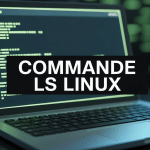 Terminal avec ls commande Linux