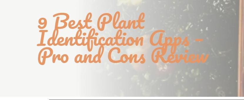 10 Best Plant Identification App in 2026