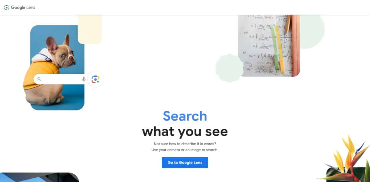 Google Lens (Best Plant Identification App)