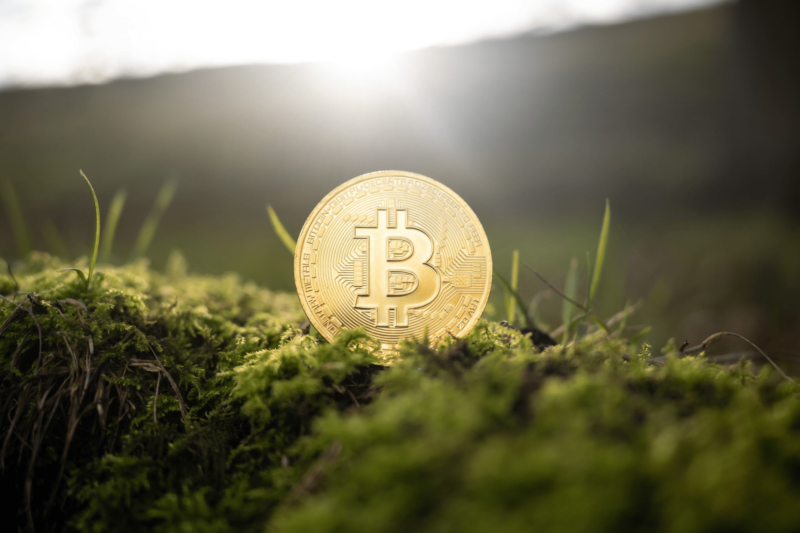 Comparing Crypto to Traditional Assetsts