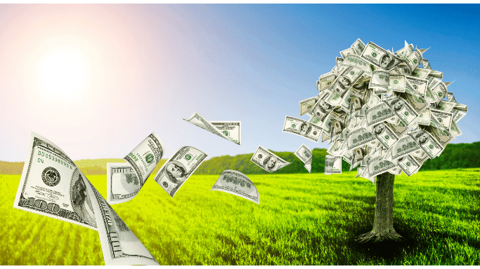 Natural Asset Companies (NACs)