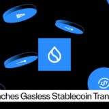 Sui Launches Gasless Stablecoin