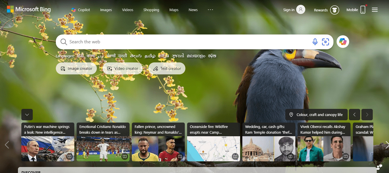 Microsoft Bing