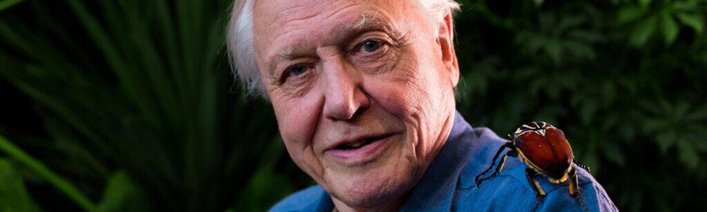 David Attenborough