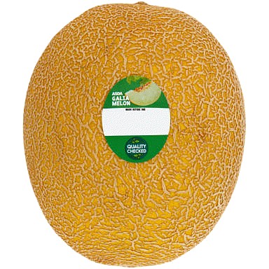 ASDA Galia Melon