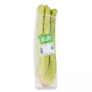 Celery