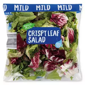 Crispy Leaf Salad
