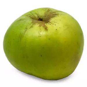 Large Bramley Apple