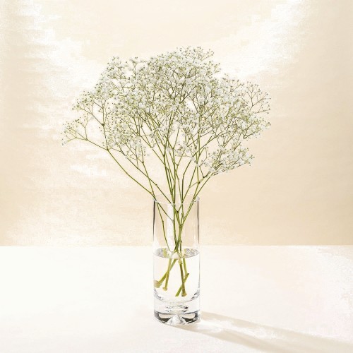 Morrisons Gypsophila Flowers Bouquet