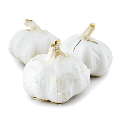 Natoora Large Spanish Garlic