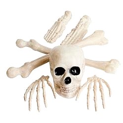 Sainsbury's Home Bag of Bones