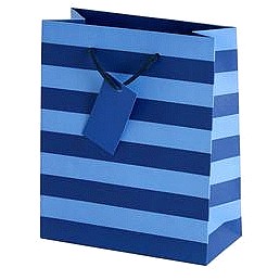 Sainsbury's Home Blue Stripe Medium Bag