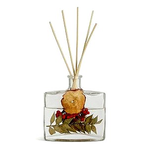 Sainsbury's Home Botanical Diffuser Christmas Spice (120ml)