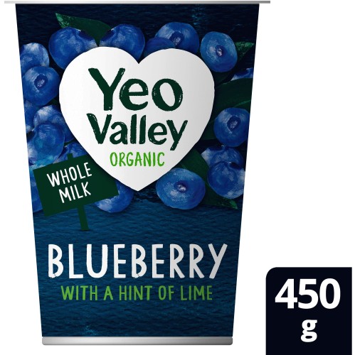 Yeo Valley Organic Blueberry & Lime Yogurt (450g)
