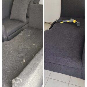 sala oscura, pelo de mascota y orina