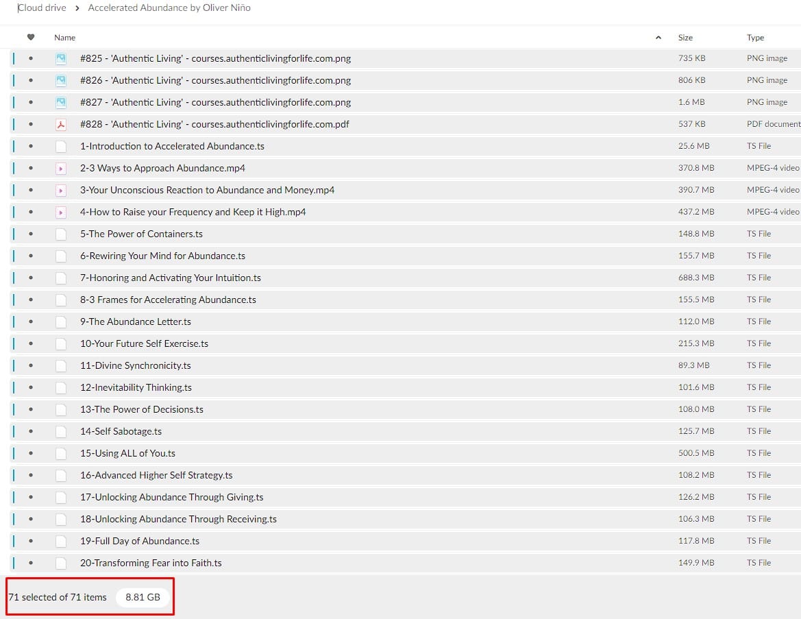 accelerated abundance by oliver niño