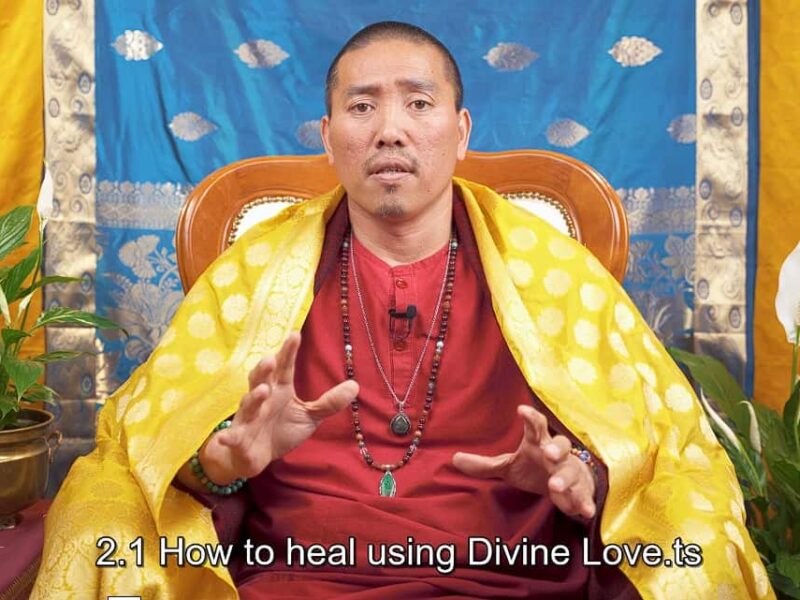 becoming a great healer masterclass by master sri avinash do