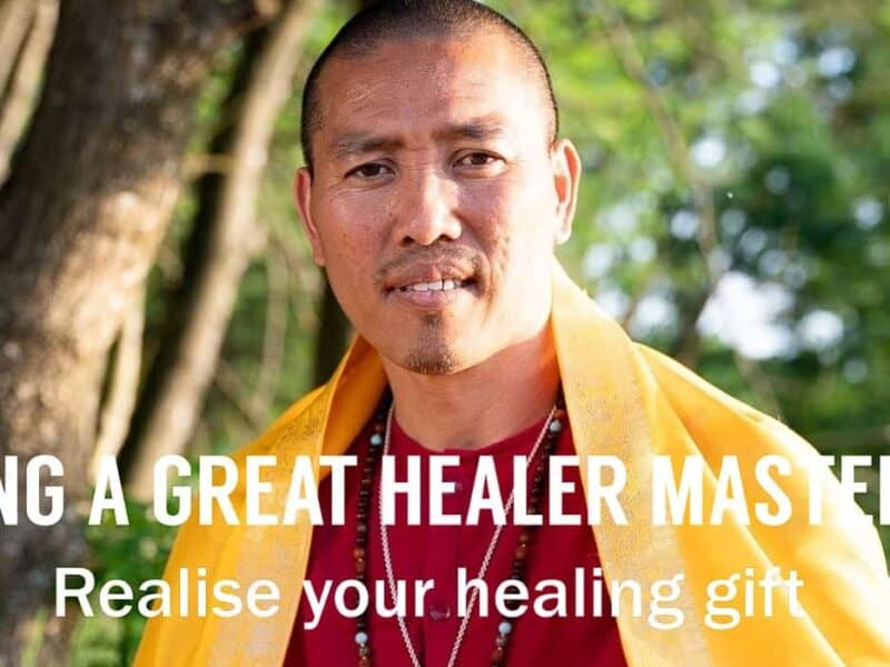 becoming a great healer masterclass by master sri avinash do