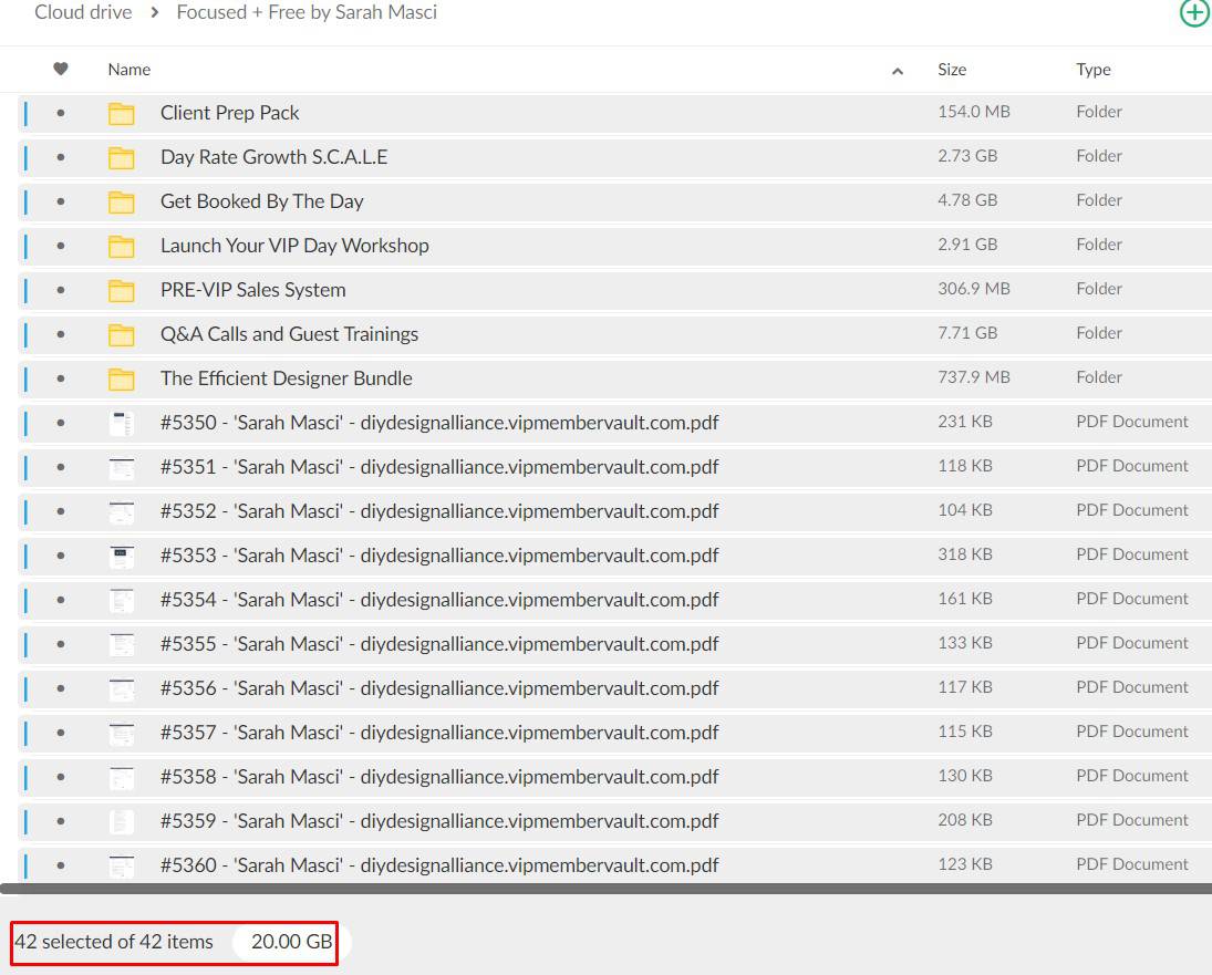 focused + free by sarah masci
