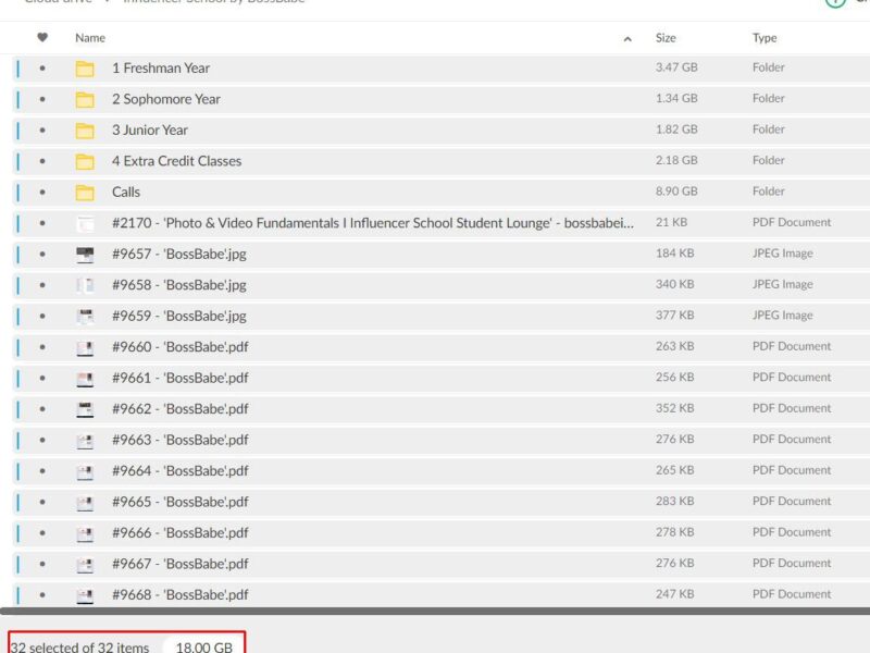 influencer school by bossbabe