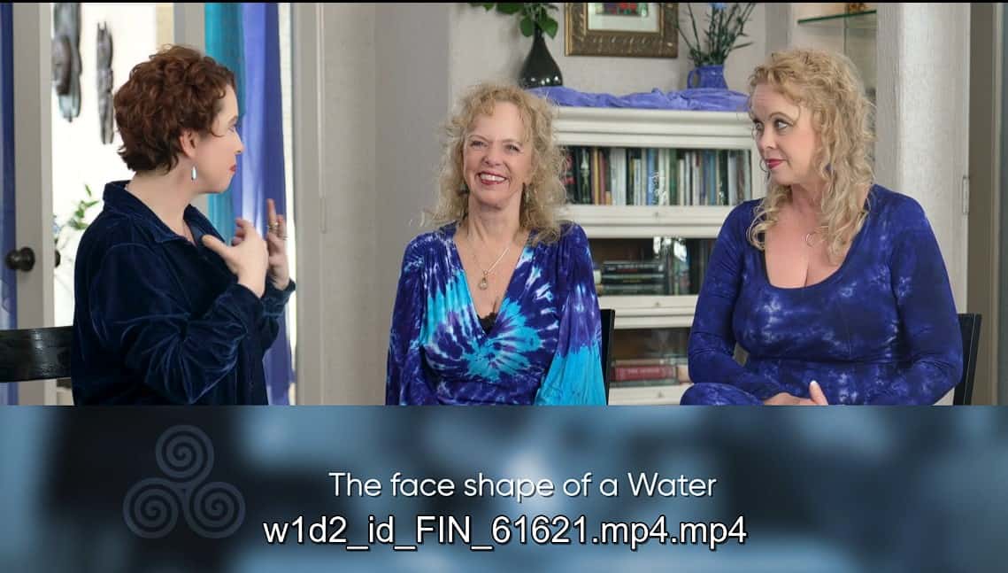 living the five elements by donna eden