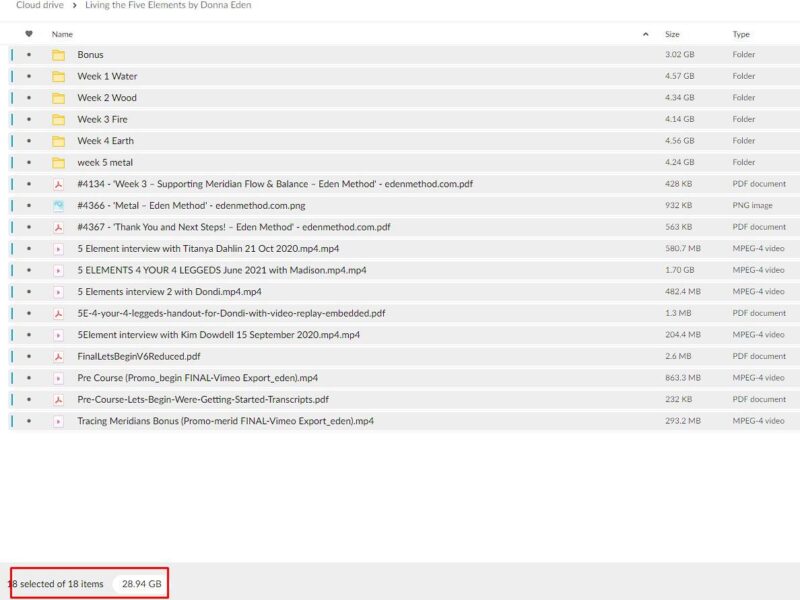 living the five elements by donna eden