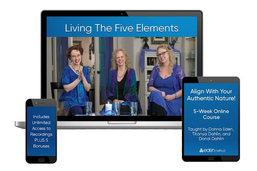 living the five elements by donna eden