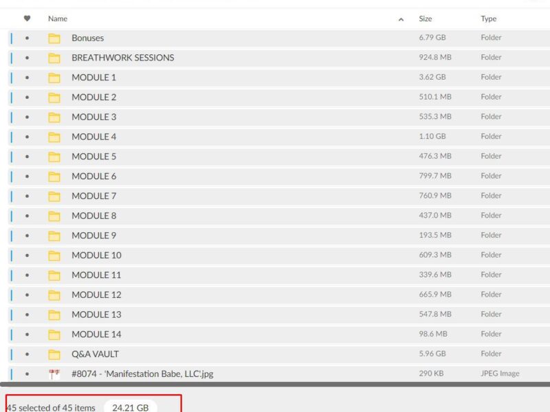 manifestation babe academy by kathrin zenkina