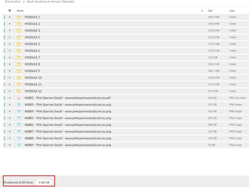 reels academy by anneke odendaal