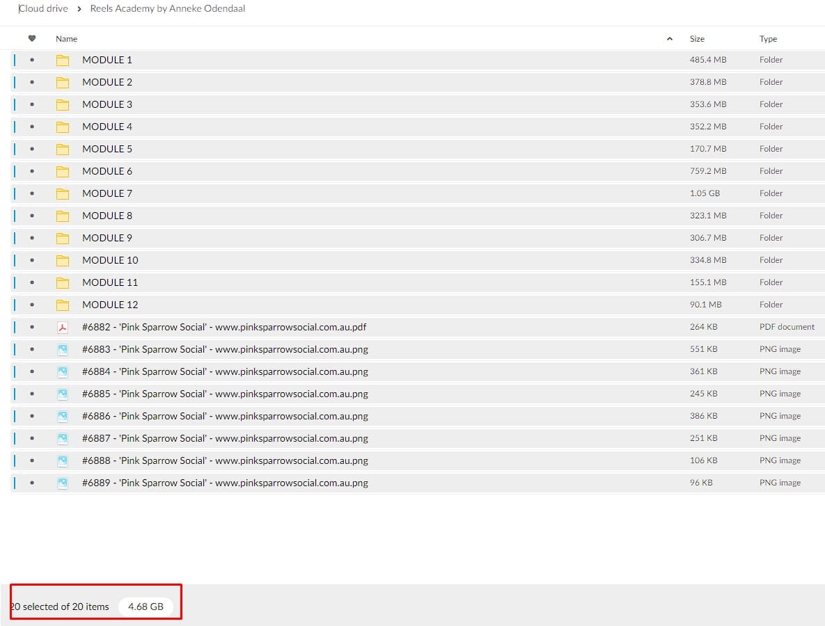 reels academy by anneke odendaal