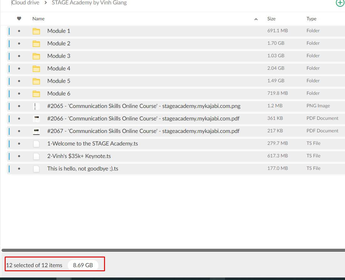 stage academy by vinh giang