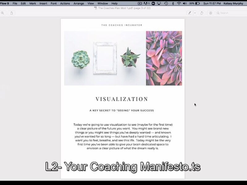 the coaches incubator by kelsey murphy